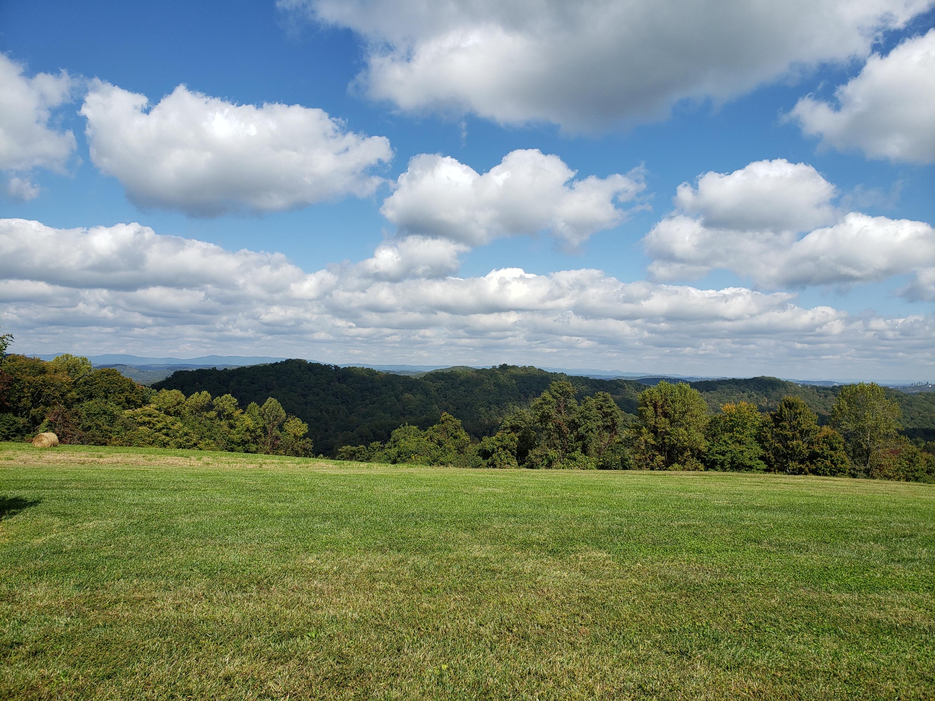 976 Fox Hunter Road Maynardville, TN 37807 - Photo 4 of 36 Back Yard