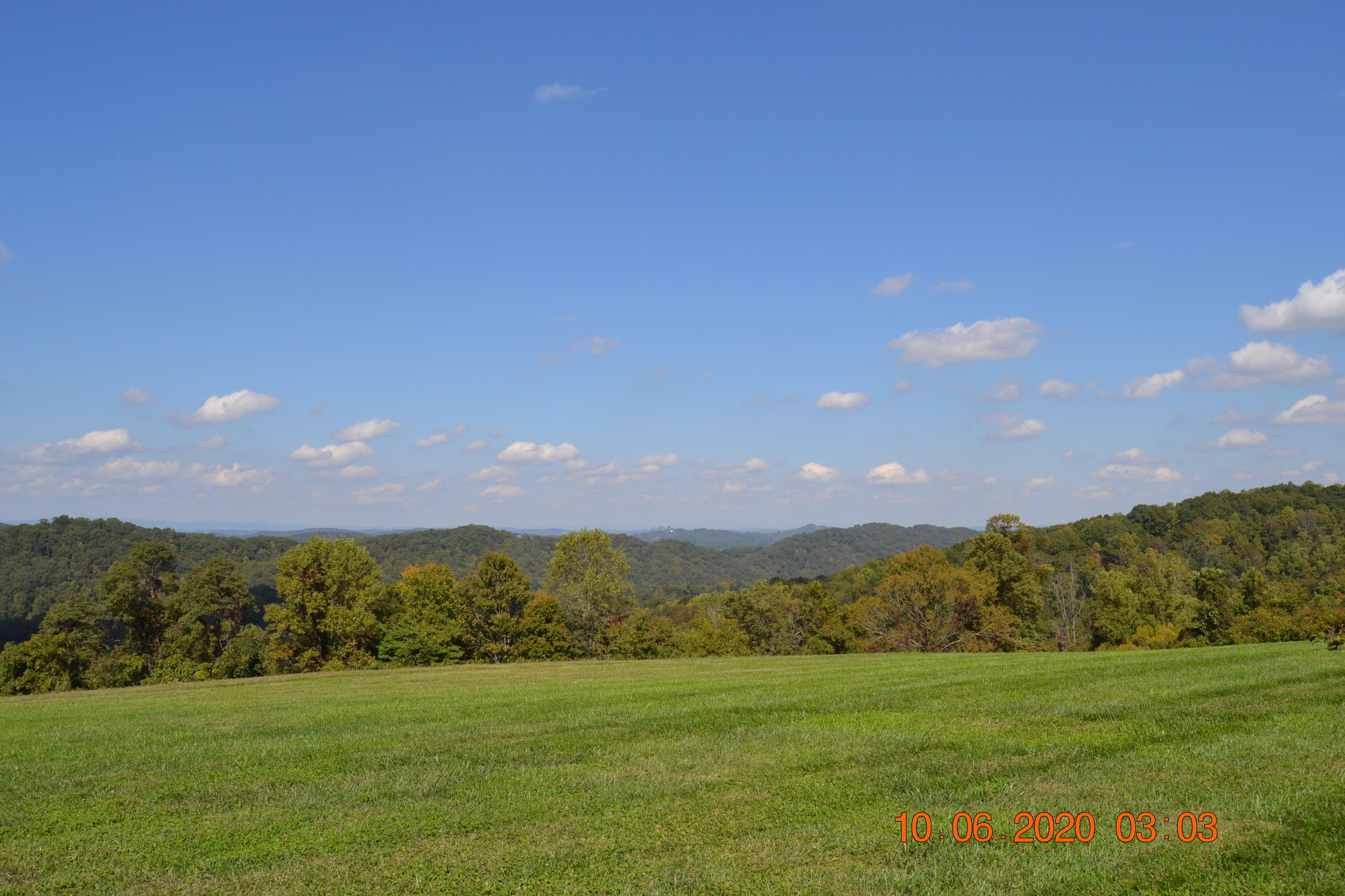 976 Fox Hunter Road Maynardville, TN 37807 - Photo 5 of 36 Back Yard