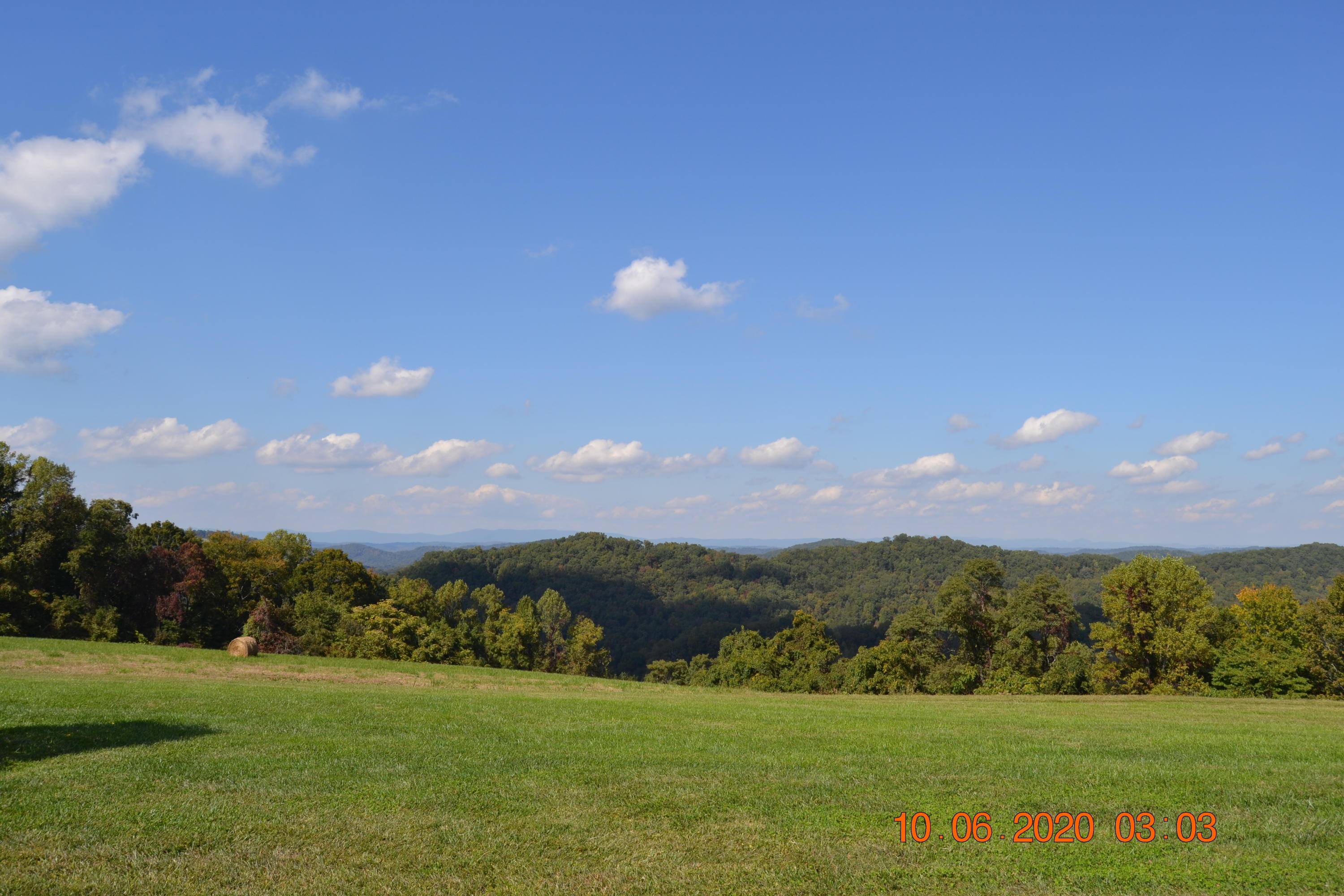 976 Fox Hunter Road Maynardville, TN 37807 - Photo 7 of 36 Back Yard