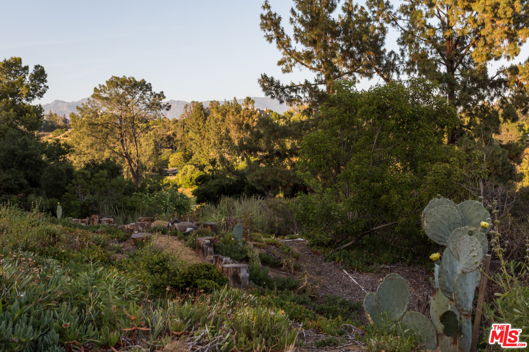 150 Patrician Way Pasadena, CA 91105 - Photo 43 of 43 a view of a forest with a tree