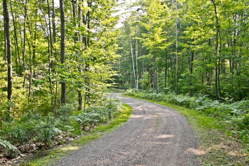 203 Cole Hill Road Standish, ME 04084 - Photo 2 of 34 Photo