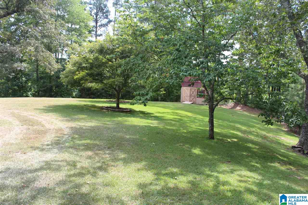 2894 Beech Grove Road Haleyville, AL 35565 - Photo 49 of 49