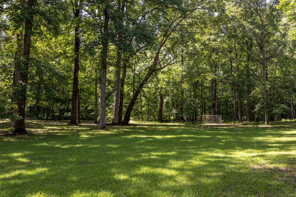 12225 County Line Road Midland, GA 31820 - Photo 5 of 66 Gallery Image 5