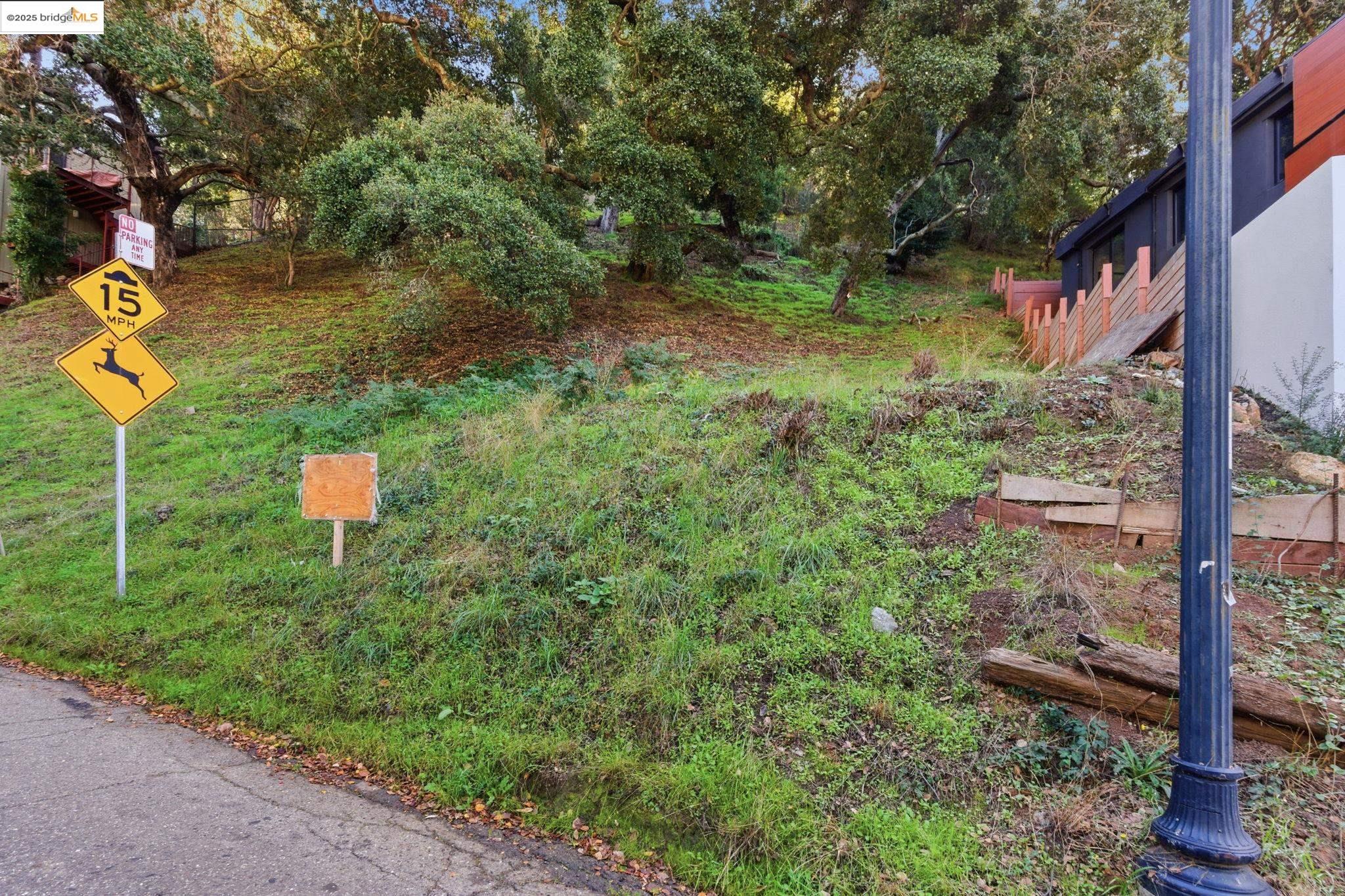 0 Ruthland Road Oakland, CA 94611 - Photo 12 of 19 a backyard of a house with lots of green space