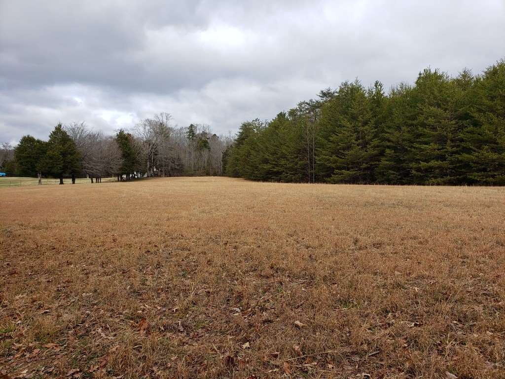 0 County Road 187 Decatur, TN 37322 - Photo 9 of 35 Gallery Image 9