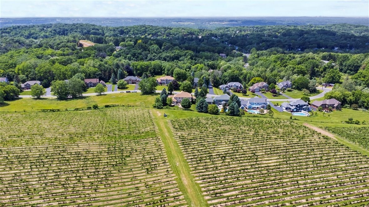 12 Vineyard Hill Perinton, NY 14450 - Photo 6 of 50