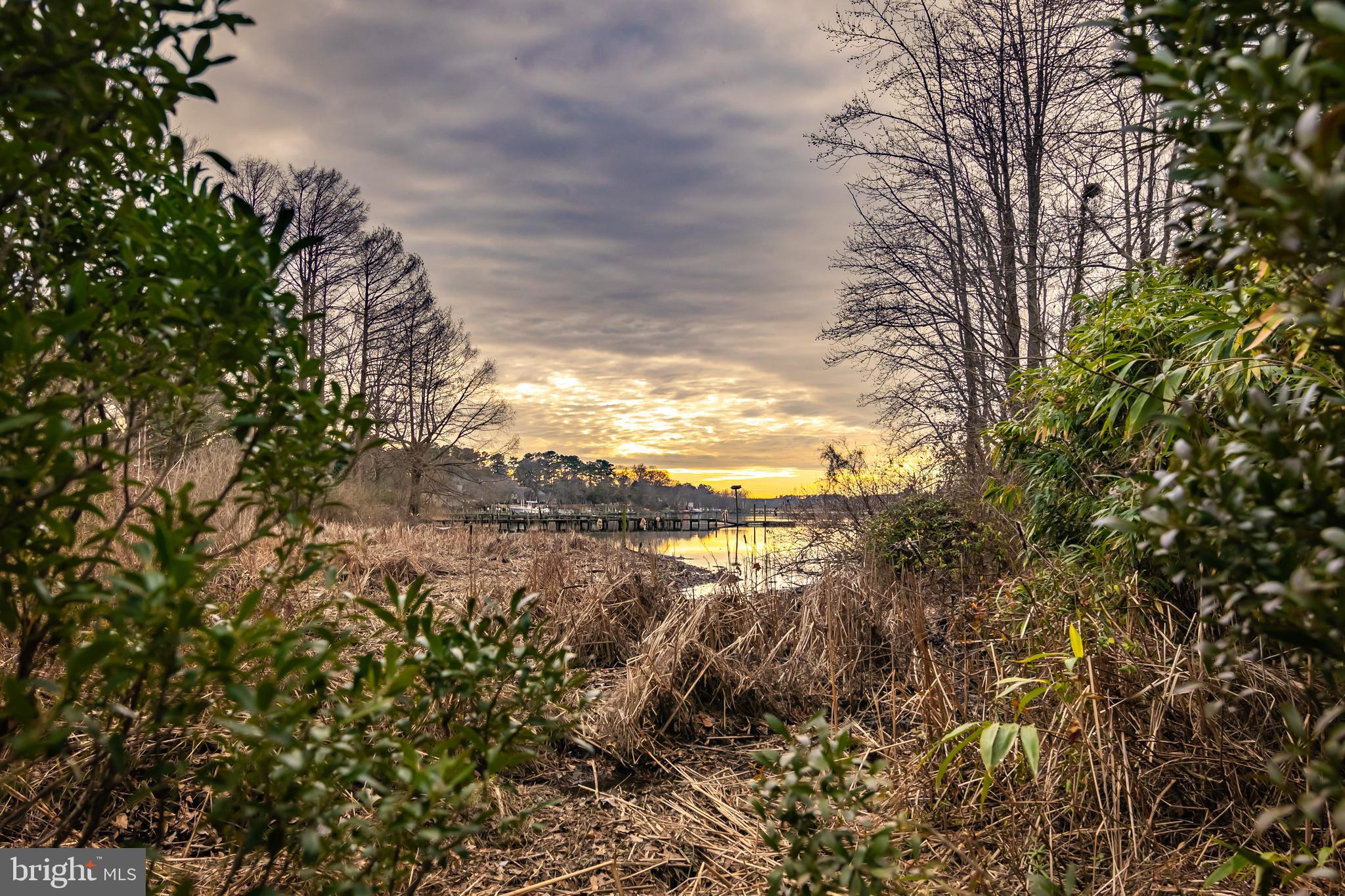 1012 Riverside Drive Salisbury, MD 21801 - Photo 76 of 86 Gallery Image 76