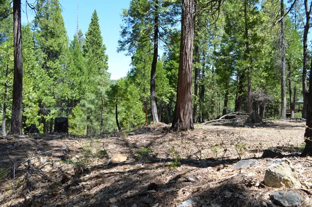 $95,000 | 3112 Apache Road, Arnold, CA 95223