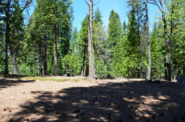 $95,000 | 3112 Apache Road, Arnold, CA 95223