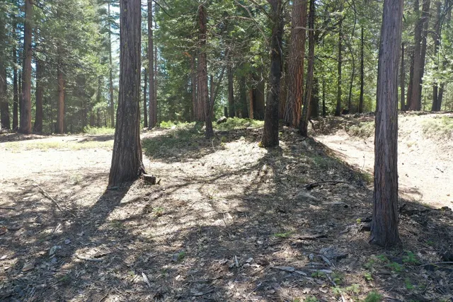 $95,000 | 3112 Apache Road, Arnold, CA 95223