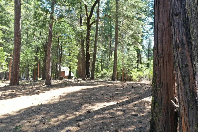 $95,000 | 3112 Apache Road, Arnold, CA 95223