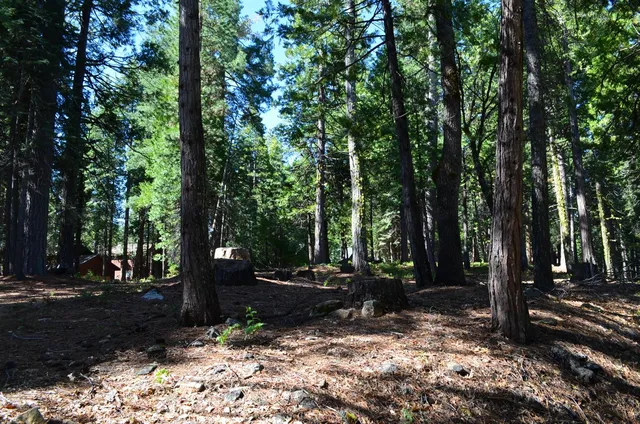 $95,000 | 3112 Apache Road, Arnold, CA 95223