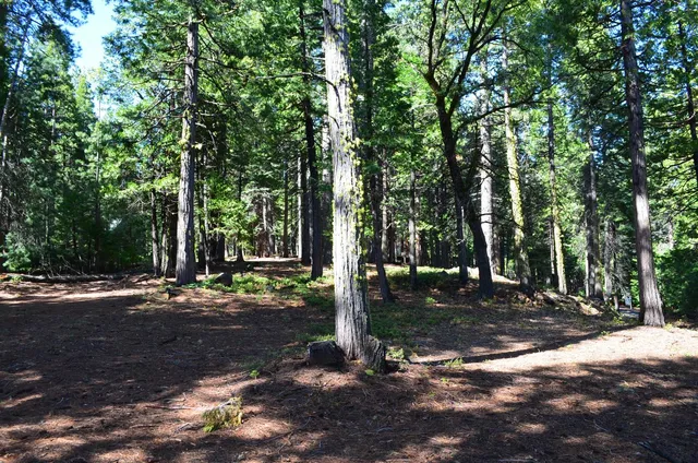 $95,000 | 3112 Apache Road, Arnold, CA 95223