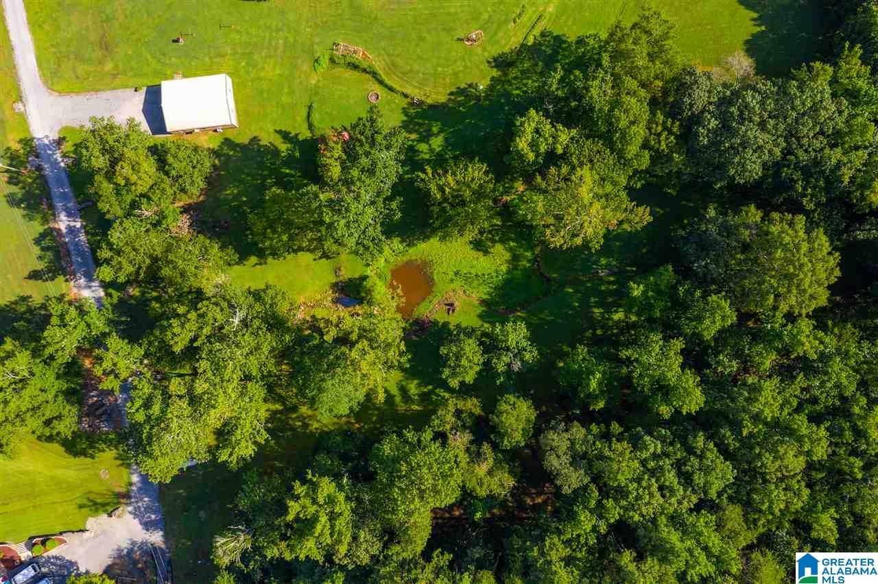 3309 Self Creek Road Pinson, AL 35126 - Photo 43 of 48