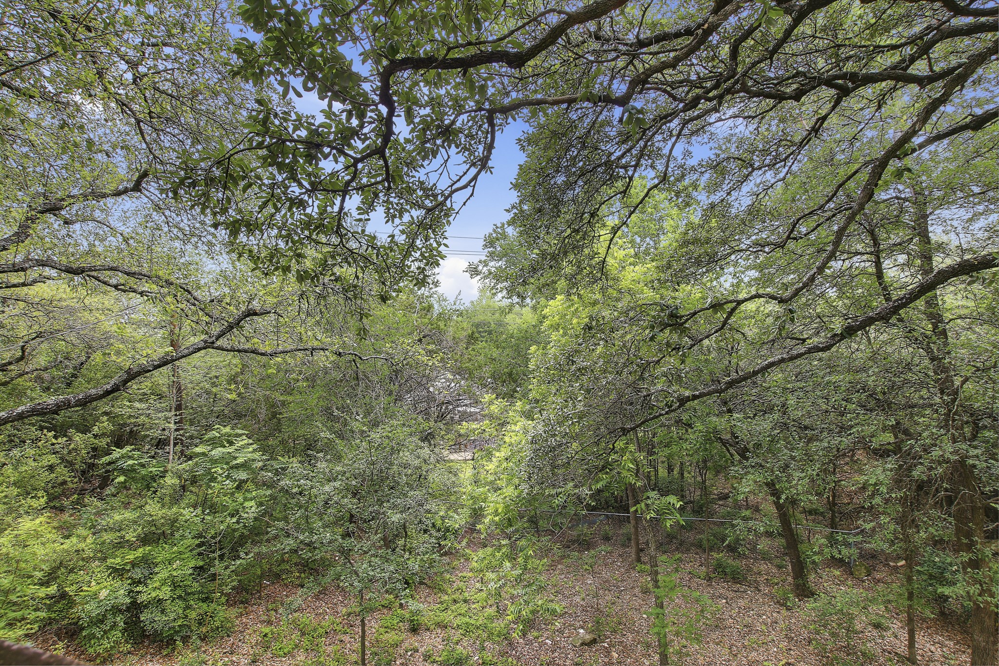 6902 Rifle Bend Austin, TX 78736 - Photo 31 of 33 a view of a yard with a tree