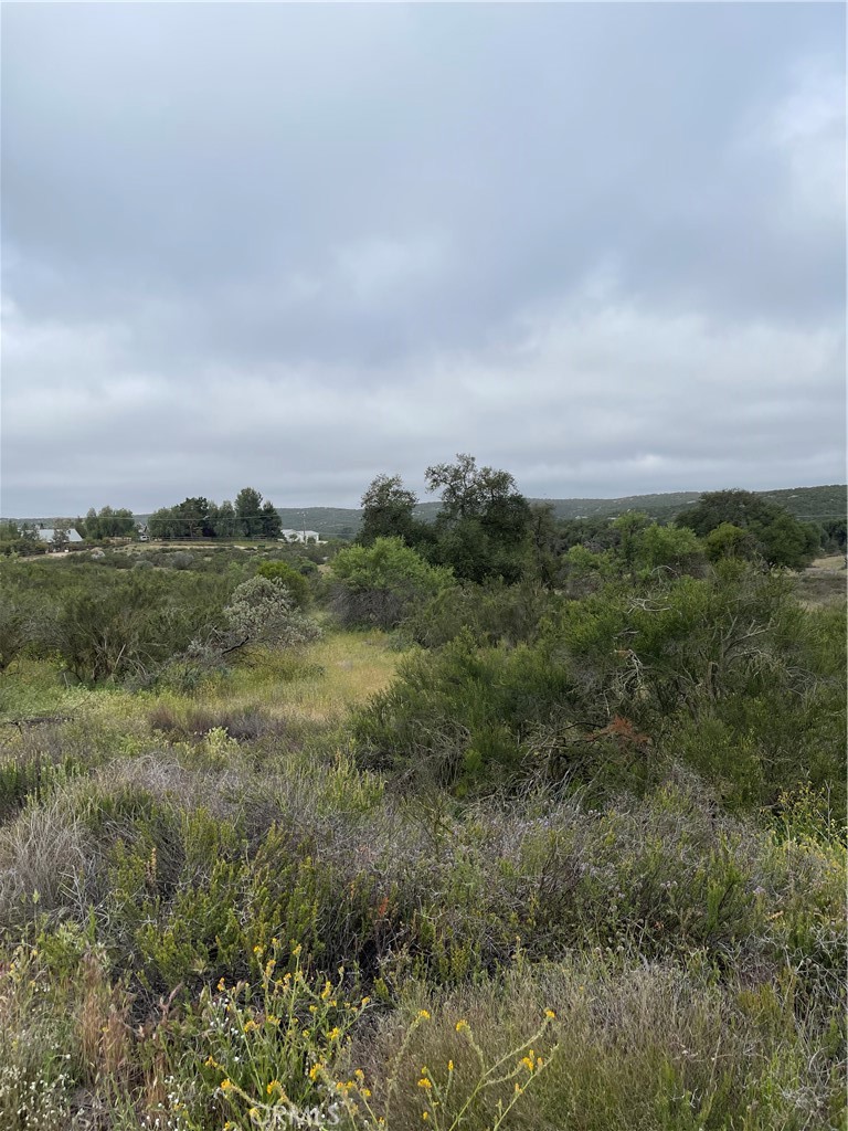 View of parcel.