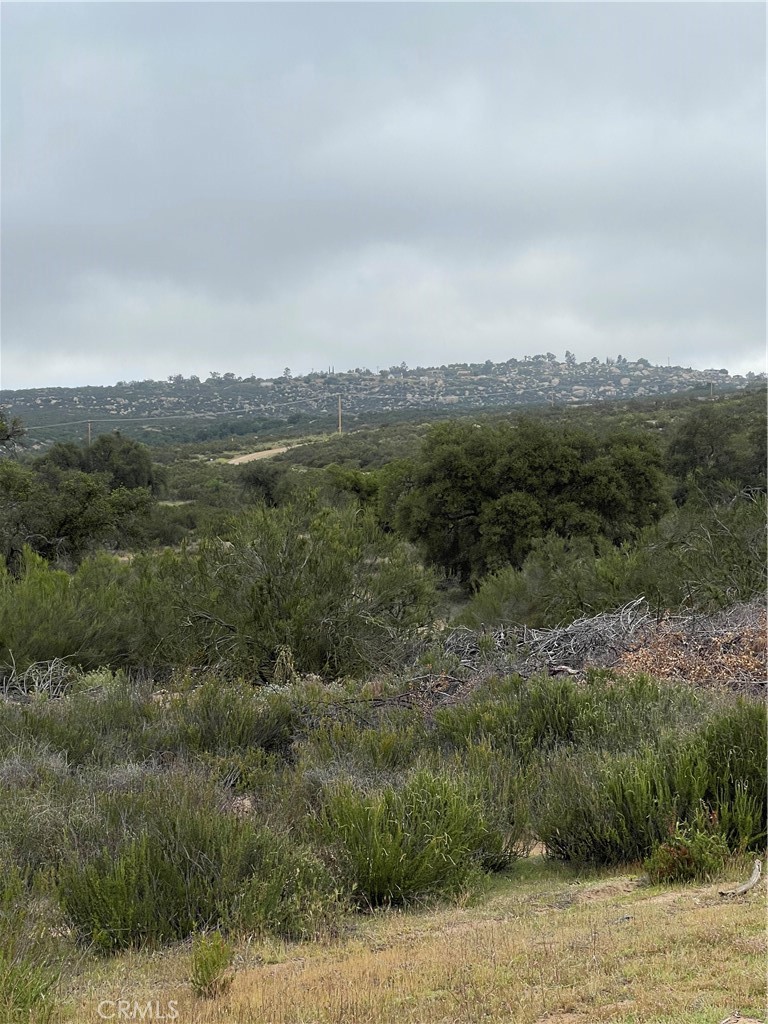 44 Sable Drive Hemet, CA 92544 - Photo 11 of 13 View of parcel.