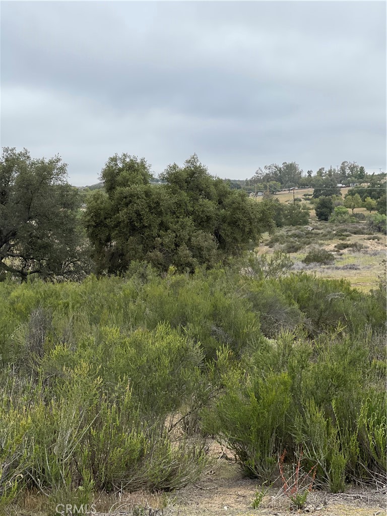 44 Sable Drive Hemet, CA 92544 - Photo 12 of 13 View of parcel.