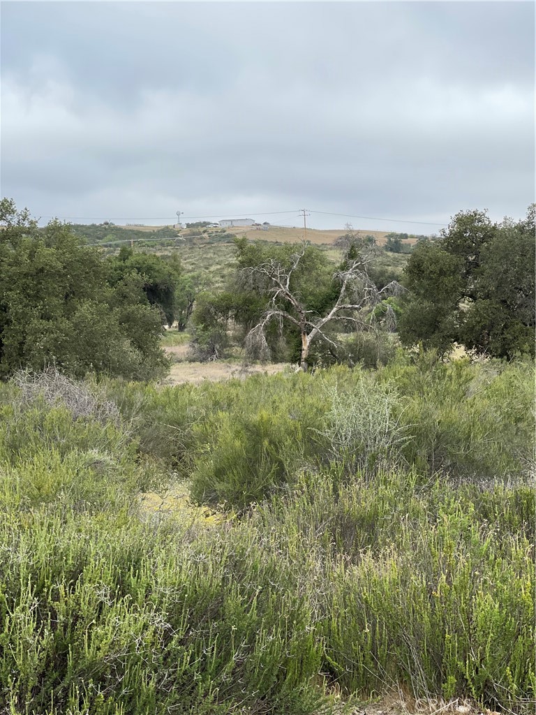 44 Sable Drive Hemet, CA 92544 - Photo 13 of 13 View of parcel.