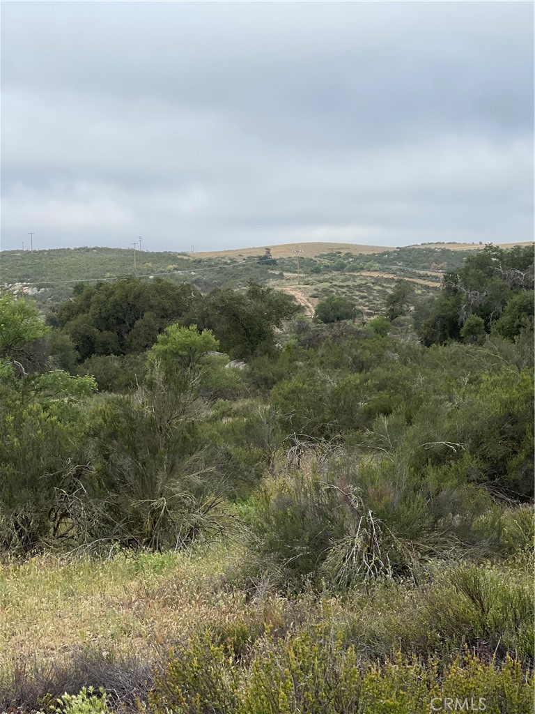 44 Sable Drive Hemet, CA 92544 - Photo 4 of 13 View of parcel.