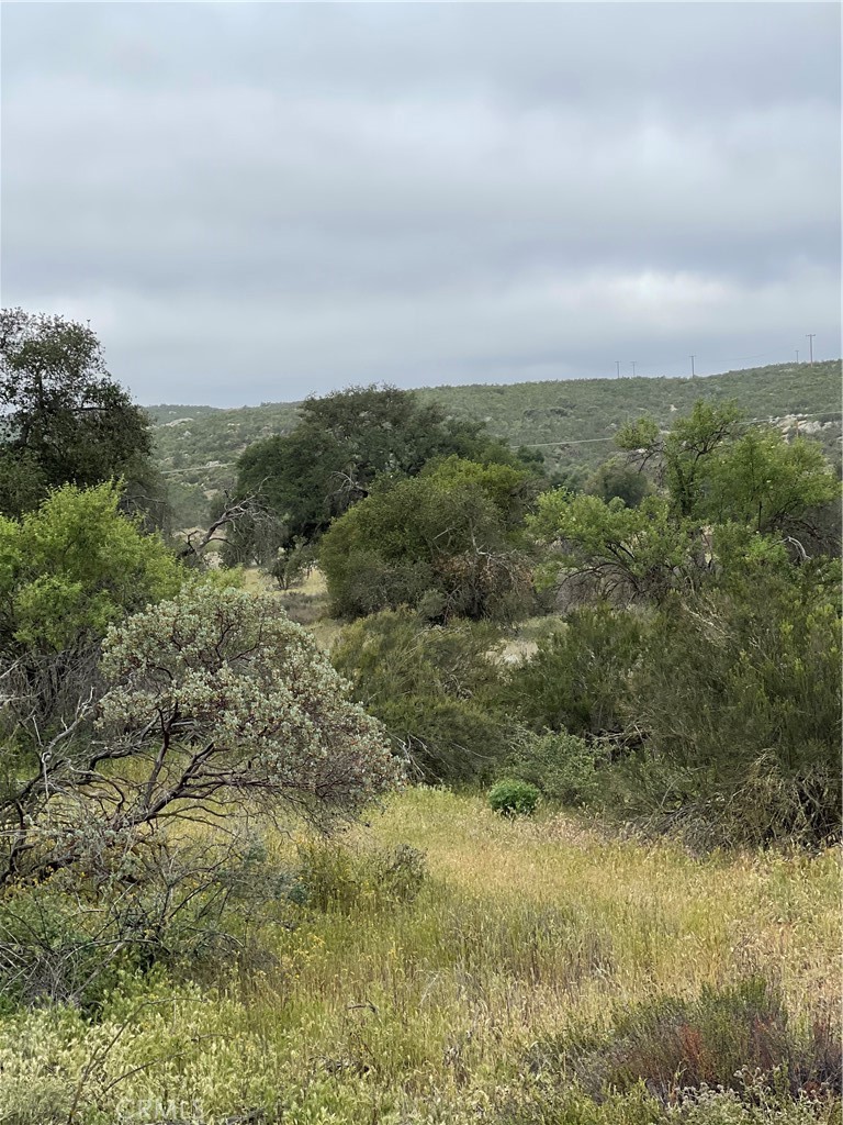 44 Sable Drive Hemet, CA 92544 - Photo 5 of 13 View of parcel.