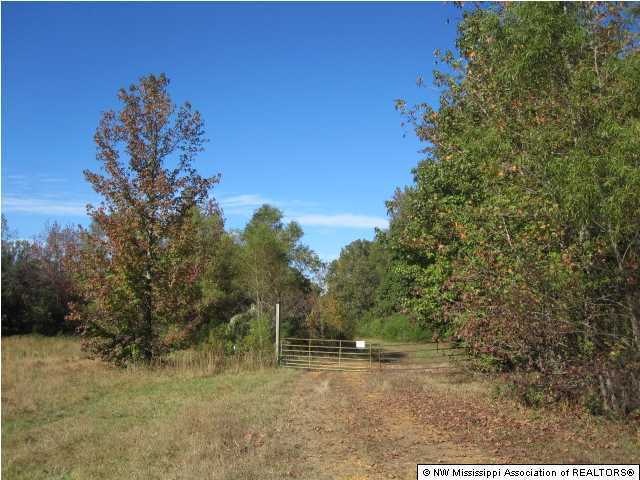 7202 Arkabutla Road Coldwater, MS 38618 - Photo 1 of 22 Primary Photo