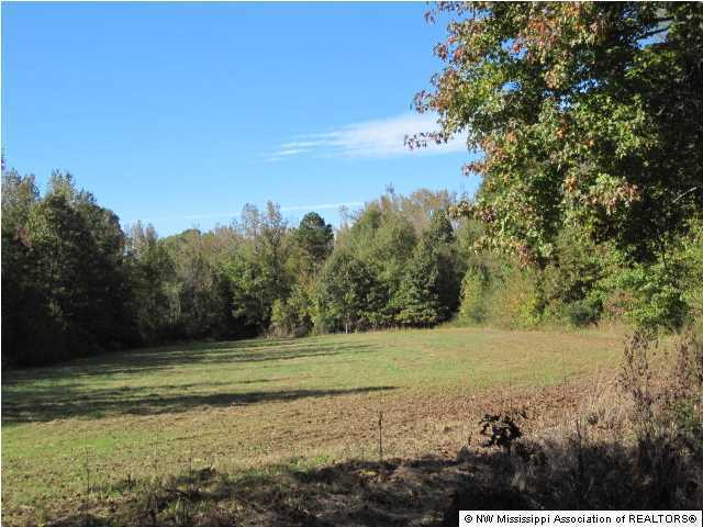 7202 Arkabutla Road Coldwater, MS 38618 - Photo 11 of 22 Additional Photo
