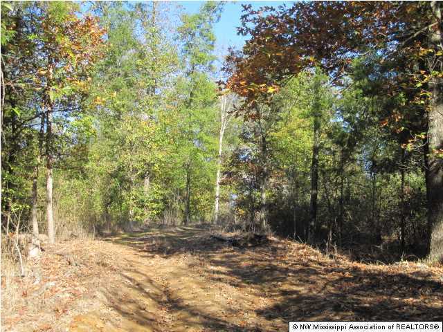 7202 Arkabutla Road Coldwater, MS 38618 - Photo 12 of 22 Additional Photo