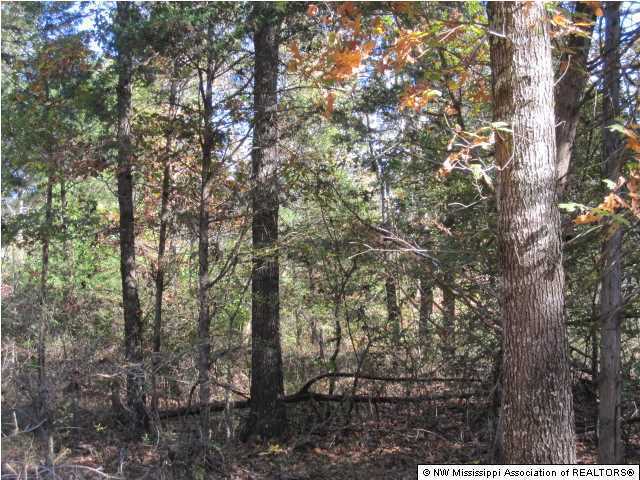 7202 Arkabutla Road Coldwater, MS 38618 - Photo 13 of 22 Additional Photo