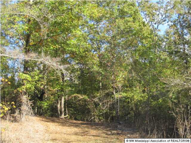 7202 Arkabutla Road Coldwater, MS 38618 - Photo 14 of 22 Additional Photo