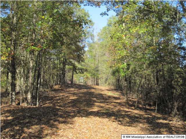 7202 Arkabutla Road Coldwater, MS 38618 - Photo 15 of 22 Additional Photo