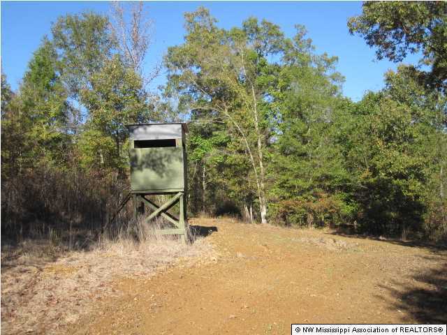 7202 Arkabutla Road Coldwater, MS 38618 - Photo 16 of 22 Additional Photo
