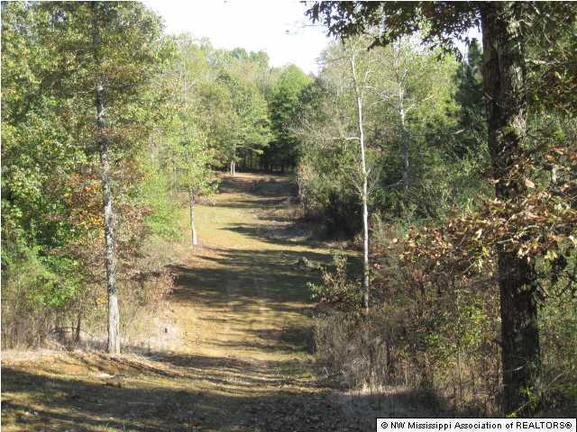 7202 Arkabutla Road Coldwater, MS 38618 - Photo 17 of 22 Additional Photo