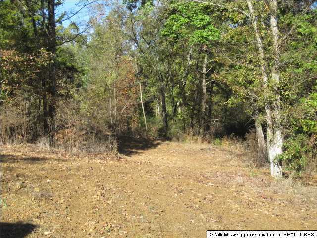 7202 Arkabutla Road Coldwater, MS 38618 - Photo 18 of 22 Additional Photo