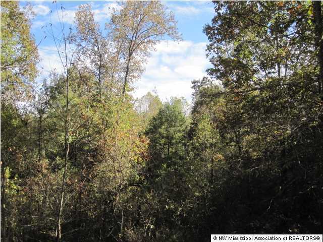 7202 Arkabutla Road Coldwater, MS 38618 - Photo 19 of 22 Additional Photo