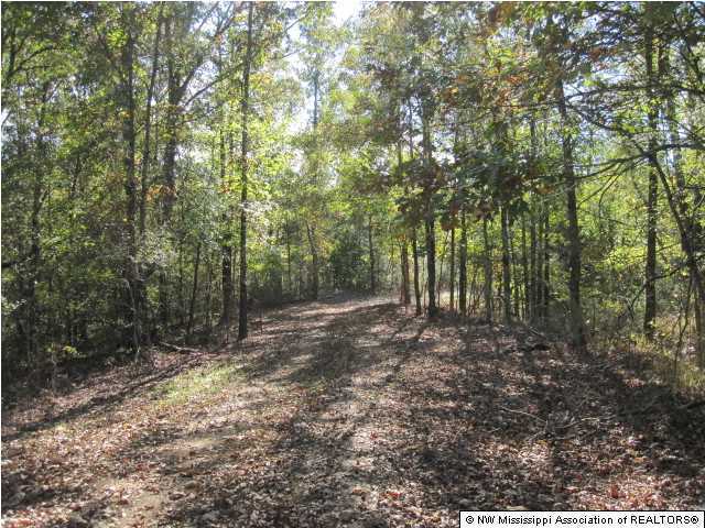 7202 Arkabutla Road Coldwater, MS 38618 - Photo 20 of 22 Additional Photo