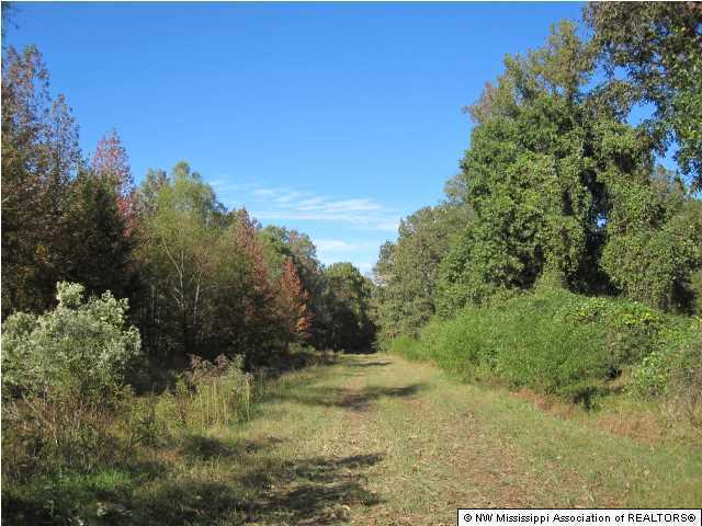7202 Arkabutla Road Coldwater, MS 38618 - Photo 2 of 22 Additional Photo