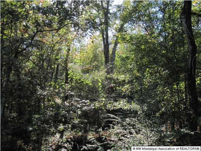 7202 Arkabutla Road Coldwater, MS 38618 - Photo 21 of 22 Additional Photo
