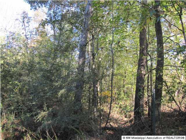 7202 Arkabutla Road Coldwater, MS 38618 - Photo 22 of 22 Additional Photo