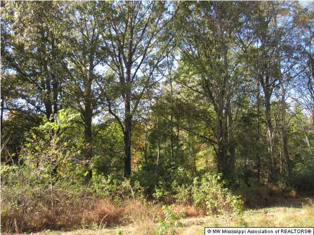 7202 Arkabutla Road Coldwater, MS 38618 - Photo 3 of 22 Additional Photo