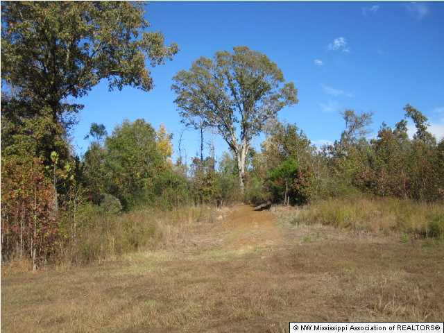 7202 Arkabutla Road Coldwater, MS 38618 - Photo 4 of 22 Additional Photo