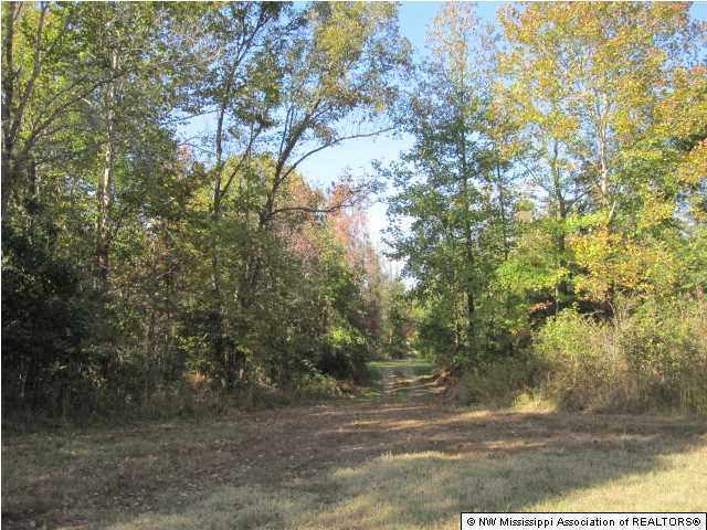 7202 Arkabutla Road Coldwater, MS 38618 - Photo 5 of 22 Additional Photo