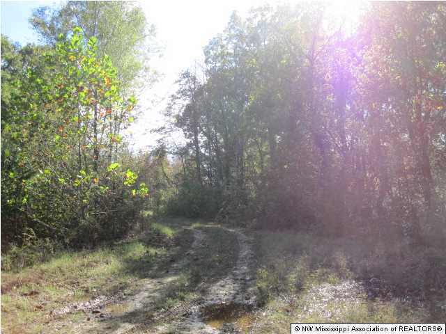 7202 Arkabutla Road Coldwater, MS 38618 - Photo 6 of 22 Additional Photo