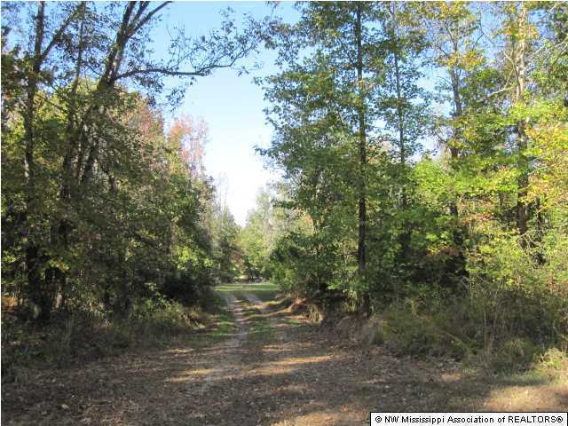 7202 Arkabutla Road Coldwater, MS 38618 - Photo 7 of 22 Additional Photo
