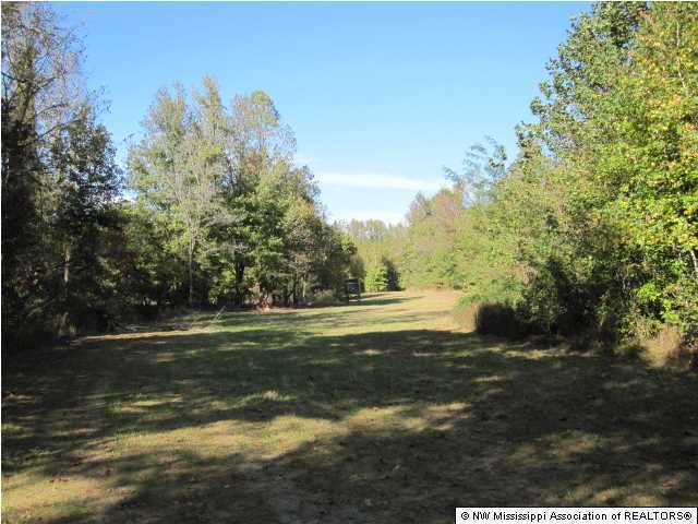 7202 Arkabutla Road Coldwater, MS 38618 - Photo 8 of 22 Additional Photo