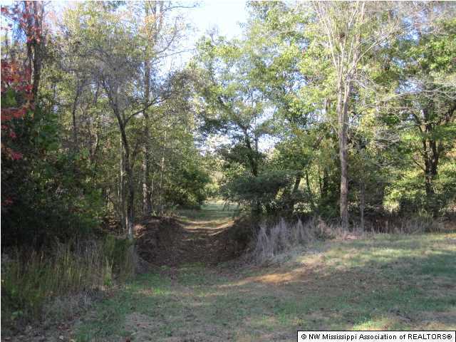 7202 Arkabutla Road Coldwater, MS 38618 - Photo 9 of 22 Additional Photo