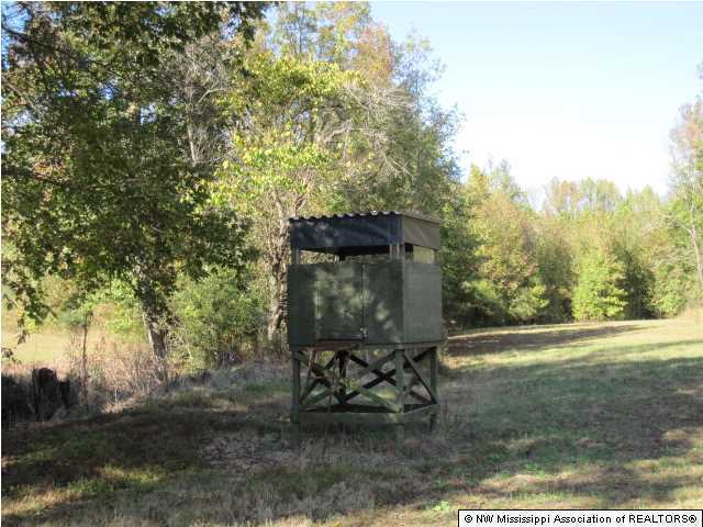 7202 Arkabutla Road Coldwater, MS 38618 - Photo 10 of 22 Additional Photo