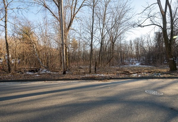 Lot 0016 Apthorp Street Worcester, MA 01606 - Photo 7 of 8 Gallery Image 7