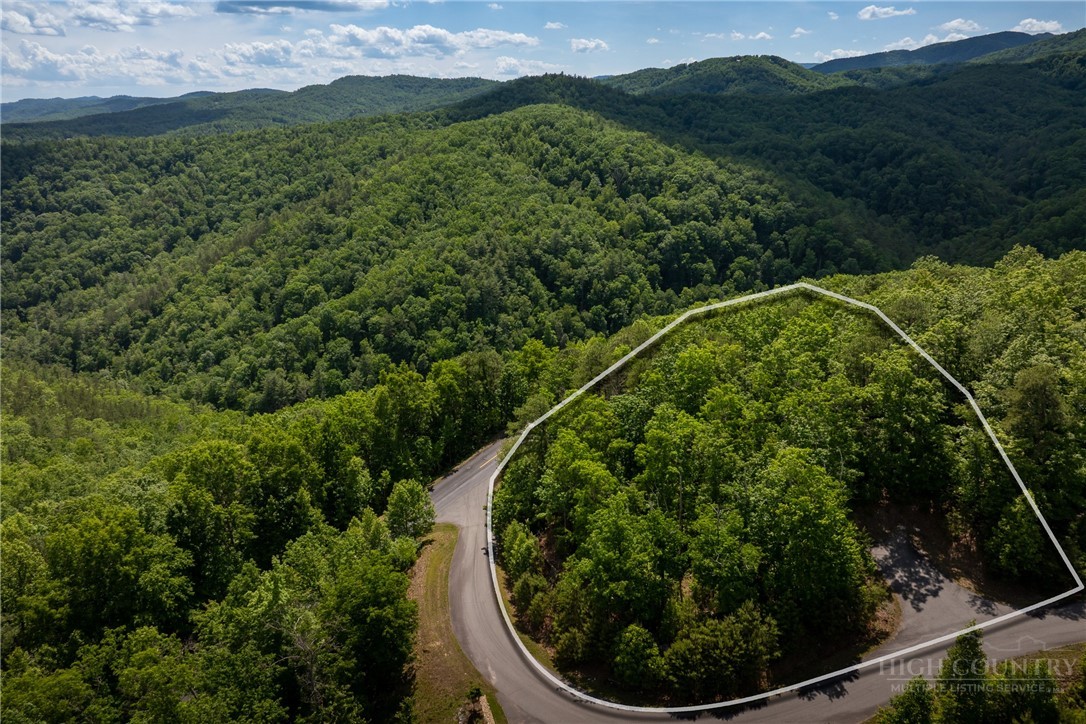75 Lobelia Lane Boone, NC 28607 - Photo 10 of 50