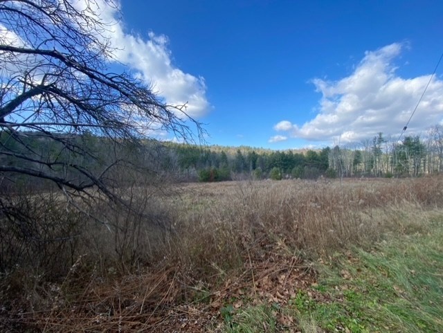 0 East Alford Road West Stockbridge, MA 01266 - Photo 3 of 5